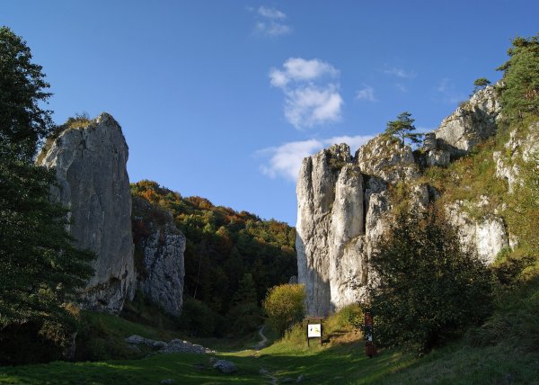 Place Image