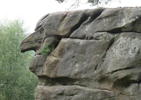 Place Image