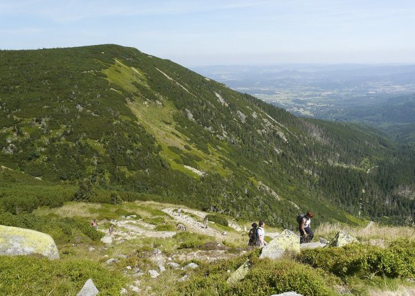 Place Image