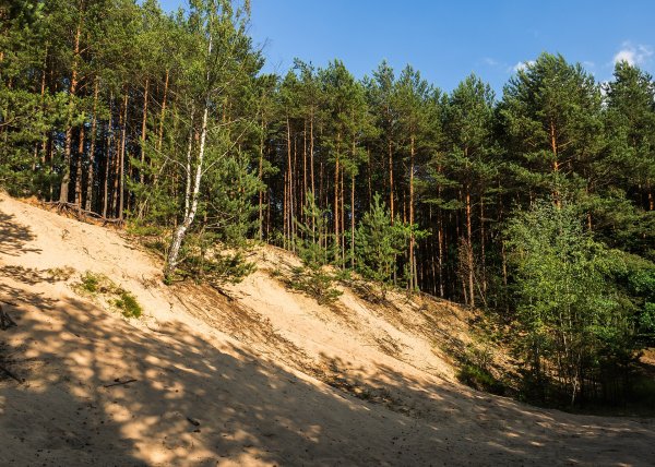 Place Image